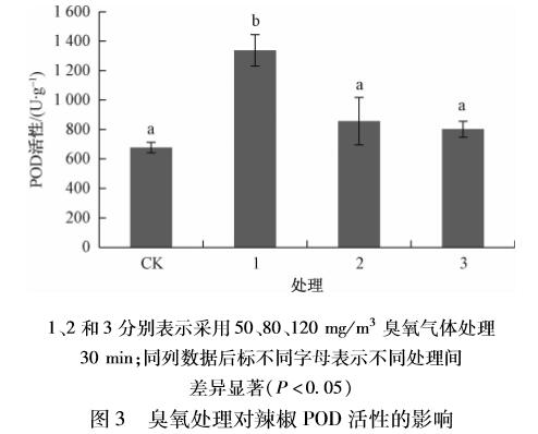 臭氧對辣椒種子萌發(fā)及生理指標的影響